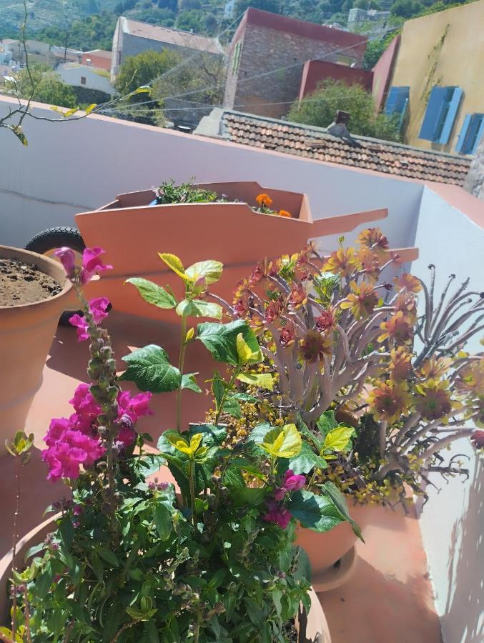 Sokratis Apartments シミ 部屋 写真