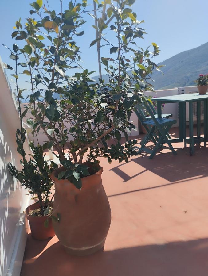 Sokratis Apartments シミ 部屋 写真
